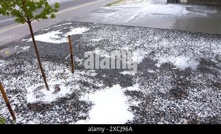 Rasen- und Steingarten bedeckt mit Hail After Storm Stockfoto