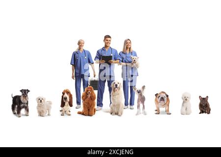 Tierärztliches Gesundheitsteam in blauen Uniformen mit vielen Hunden isoliert auf weißem Hintergrund Stockfoto