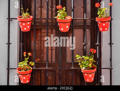 Bezaubernder spanischer Fenstergrill: Rote Töpfe mit weißen Polka Dots in Arcos de la Frontera Stockfoto