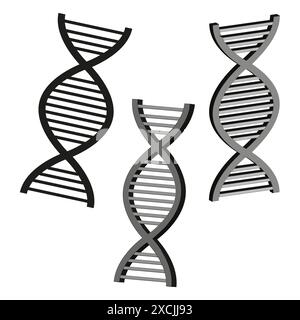 DNA-Helix-Symbole. Schwarz und grau. Vektorgenetische Symbole. Molekularstruktur. Stock Vektor
