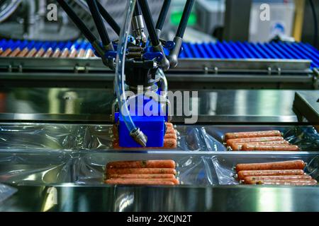 Hochleistungsmaschinen wickeln verarbeitete Frischprodukte Würstchen. Lebensmittelproduktionslinien auf Förderbändern, Lebensmittelindustrie Stockfoto