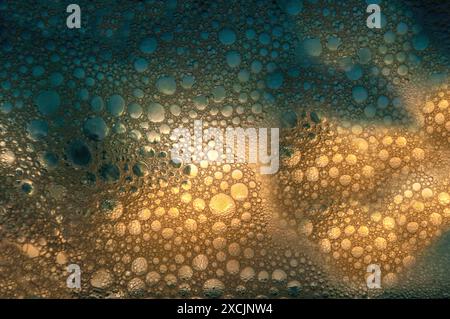 Abstrakter Hintergrund mit bunten Blasen. Stockfoto