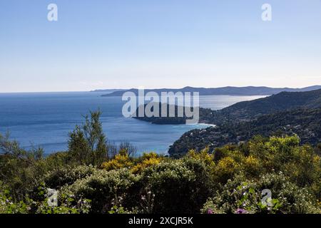 Archipel vor Hyeres im Mittelmeer mit Blumen im Vordergrund Stockfoto