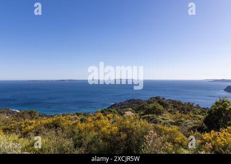 Archipel vor Hyeres im Mittelmeer mit Blumen im Vordergrund Stockfoto