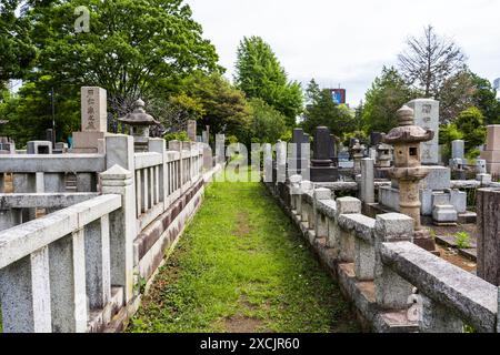Der Zoshigaya-Friedhof, ein öffentlicher Friedhof in Minami-Ikebukuro, Toshima, Tokio, wo viele bemerkenswerte Menschen begraben sind, mit typischen buddhistischen Gräbern Stockfoto