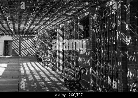 Tagsüber wirft eine lange hölzerne Pergola Schatten über eine Wand und Holzbänke in den Valley Gardens in Harrogate, North Yorkshire, Großbritannien. Stockfoto