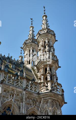 Detail der mittelalterlichen gotischen Architektur des Rathauses in Leuven, Belgien. Sie wurde Mitte des 15. Jahrhunderts erbaut. Stockfoto