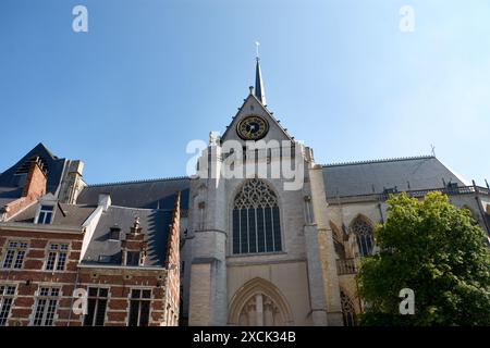 Das Rathaus auf dem Hauptmarkt in Leuven, Flämisch-Brabant, Belgien Stockfoto