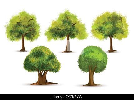 Set mit verschiedenen Aquarellbäumen auf weißem Hintergrund Stock Vektor