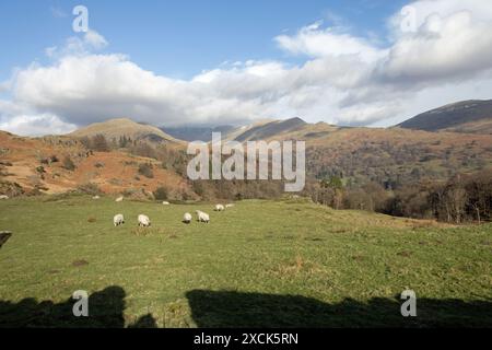 Das Fairfield Horseshoe von den Hängen von Loughrigg Ambleside, dem Lake District England Stockfoto