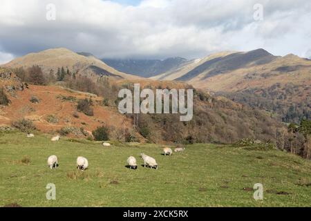 Das Fairfield Horseshoe von den Hängen von Loughrigg Ambleside, dem Lake District England Stockfoto