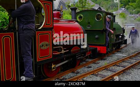 Corris Steam Railway Gala mit Falcon Engine No 10 und Engine No 3 Sir Haydn auf der Corris Station, die Fahrer und Feuerwehrleute unter Dampf zeigt. Stockfoto