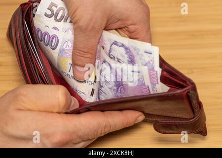Hand nimmt Geld aus der Geldbörse, tschechische Kronen-Banknoten, Konzept, steigende Preise, Wert der tschechischen Währung Stockfoto