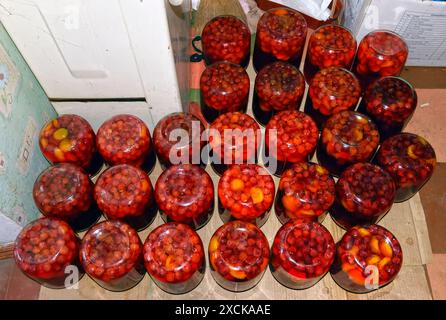 Viele Glasgläser mit hausgemachtem Kompott aus Kirsch-Aprikosen-Mischung, das gerade auf dem Küchenboden gekocht und umgedreht abgekühlt wird. Stockfoto