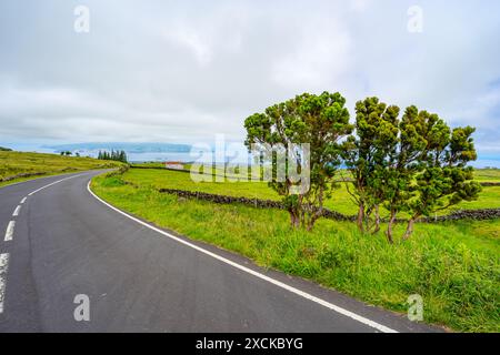 Asphaltstraße mit der wunderschönen Landschaft rund um die Insel Pico im Azoren-Archipel. Stockfoto