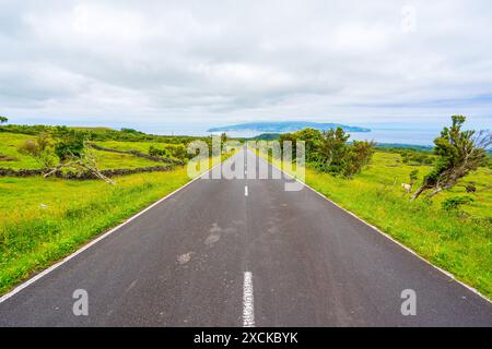 Asphaltstraße mit der wunderschönen Landschaft rund um die Insel Pico im Azoren-Archipel. Stockfoto