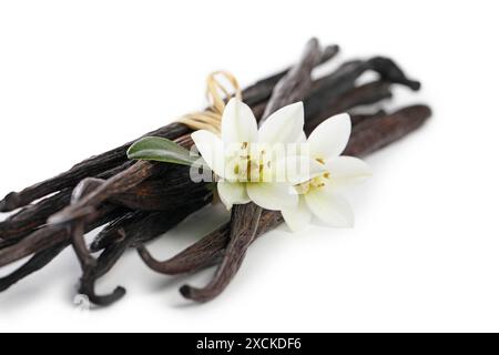 Vanilleschoten, grünes Blatt und Blumen isoliert auf weiß Stockfoto