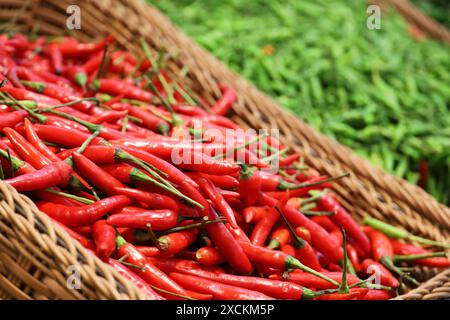 Rote und grüne Chilischoten in Körben. Heiße Gewürze auf dem Markt Stockfoto