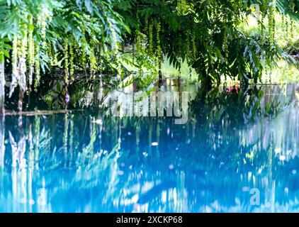 Die blauen Springbrunnen am Château de Beaulon - Saint Dizant du Gua; Charente Maritime, Frankreich Stockfoto