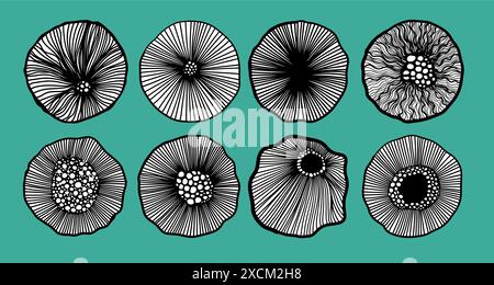 Satz schwarzer Grafikelemente. Grafische runde Blumen. Schraffur. Handzeichnung. Nicht AI. Vektorabbildung Stock Vektor