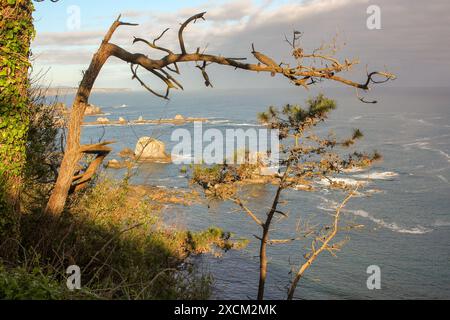 Einige Felsen an der kantabrischen Küste in der Nähe des Strandes von Silence in Asturien, Spanien Stockfoto