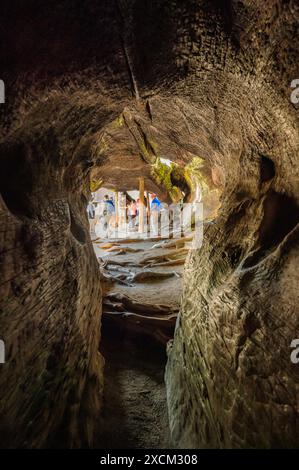 Touristen wandern durch Fallen Monarch, Sequoia Tree, Kings Canyon National Park, Kalifornien, USA Stockfoto