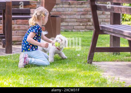 Ein junges Mädchen in einem blau-weißen Hemd spielt mit einem kleinen, weißen maltesischen Hund in einem grasbewachsenen Hinterhof. Das Mädchen kniet auf dem Boden, und das Stockfoto