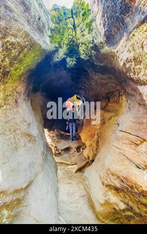 Touristen wandern durch Fallen Monarch, Sequoia Tree, Kings Canyon National Park, Kalifornien, USA Stockfoto