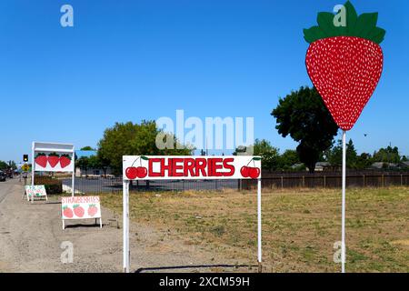 Vereinigte Staaten von Amerika - 12. Juni 2024: Holzschilder an einem Straßenrand bewerben frisches Obst, insbesondere Kirschen und Erdbeeren frisch vom Feld *** Holzschilder an einem Straßenrand bewerben frisches Obst, insbesondere Kirschen und Erdbeeren frisch vom Feld Stockfoto