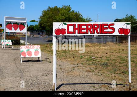 Vereinigte Staaten von Amerika - 12. Juni 2024: Holzschilder an einem Straßenrand bewerben frisches Obst, insbesondere Kirschen und Erdbeeren frisch vom Feld *** Holzschilder an einem Straßenrand bewerben frisches Obst, insbesondere Kirschen und Erdbeeren frisch vom Feld Stockfoto