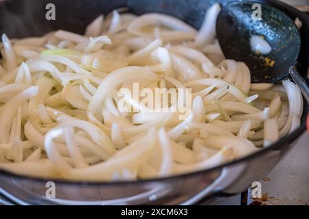 Die Zubereitung und Zubereitung von Zwiebeln, wobei verschiedene Techniken und zustände hervorgehoben werden, wie gebraten, geröstet, karamellisiert und die Verwendung von Küchen Stockfoto