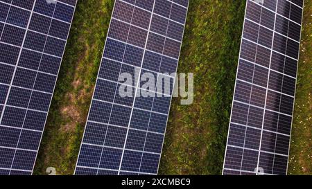Nahaufnahme von Solarpaneelen auf einem grünen Feld. Stockfoto