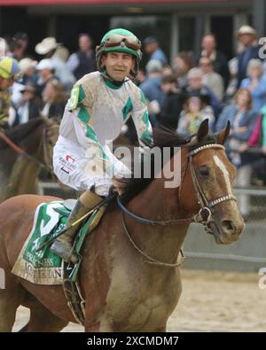 18. Mai 2024 Rennen 13 PREAKNESS STAKES Mystik Dan Stockfoto