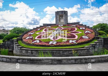 Die berühmte große Uhr mit Blumenmuster aus dem Jahr 2024 in der Region der Niagarafälle ist ein beliebtes Wahrzeichen mit komplexen Blumenmustern, die sich jährlich ändern Stockfoto