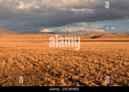 Die grenzenlose flache Steppe mit niedrigem Gras am Fuße der schneebedeckten Berge wird von der untergehenden Sonne in einem hellen Orange beleuchtet. Stockfoto