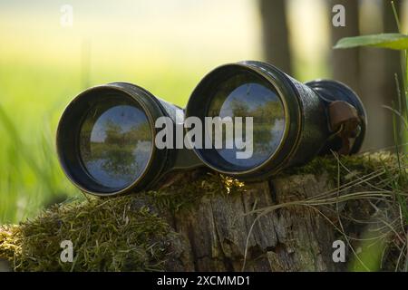 Nahaufnahme eines alten Fernglases auf einem Baumstamm in einer natürlichen Umgebung, die die Landschaft im Freien widerspiegelt. Ideal für Entdeckungskonzepte und Adventskonzepte Stockfoto