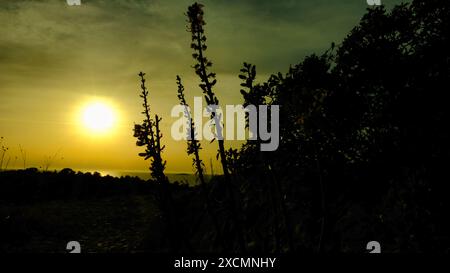 Ein Sonnenuntergang spiegelt sich im Wasser und der Himmel verdunkelt sich. Die Sonne untergeht und der Himmel wird blau Stockfoto