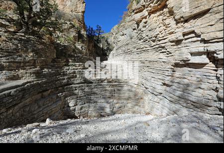 Devils Hall, Guadalupe Mountains National Park, Texas Stockfoto