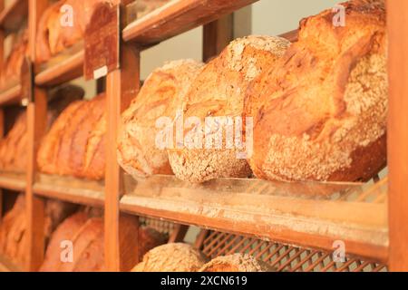 Frisches gebackenes Brot in den Regalen des Bauernmarktes in istanbul. Stockfoto