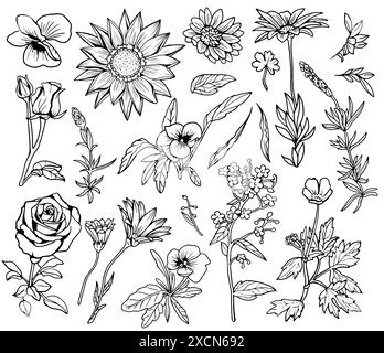 Design-Set von handgezeichneten Pflanzen, Kräutern und Blumen isoliert auf weiß. Botanisches Sommerkonzept. Illustration von Vektorlinien im Skizzenstil Stock Vektor