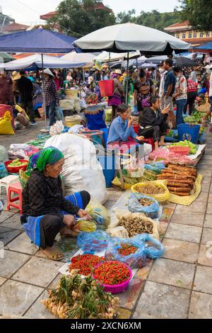 Hmong-Frau, die frische Produkte auf dem Markt Bac Ha in der Provinz Lao Cai, Vietnam verkauft Stockfoto