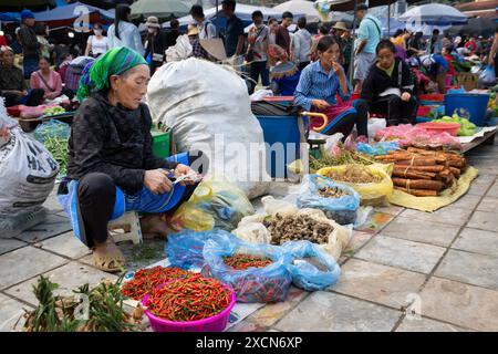 Hmong-Frau, die frische Produkte auf dem Markt Bac Ha in der Provinz Lao Cai, Vietnam verkauft Stockfoto