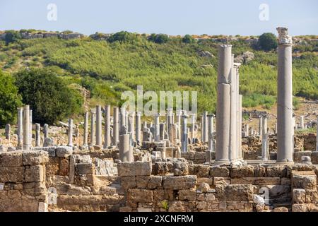 Dutzende von Steinsäulen in der alten Ruinenstadt Perge in der Nähe von Antalya in der Türkei an einem sonnigen Tag mit blauem Himmel, ein klassischer Touristenausflug. Stockfoto