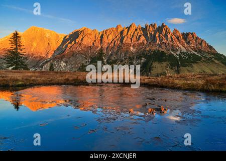 Herbstliche Almweide bei Sonnenaufgang, alpenglow, gefrorenes Wasser mit Reflexion, Hochkoenig, Hochkeil, Mühlbach am Hochkoenig, Pongau, Salzburg, Österreich Stockfoto
