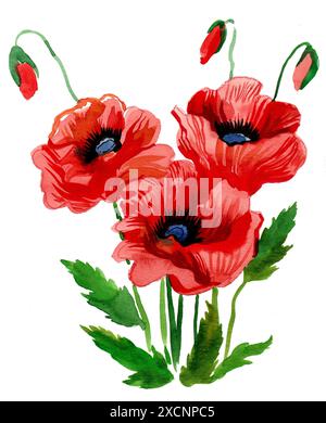 Mohnblumen. Handgezeichnete Aquarellillustration Stockfoto