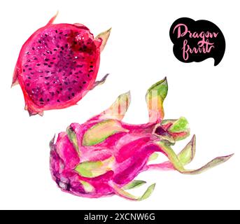 Illustration von rosa Drachenfrucht, eine tropische und gesunde Frucht, ganze und in Scheiben geschnittene pitaya Stockfoto