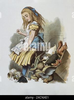 Illustration von Tenniel, aus der Ausgabe 1890 von 'Alice im Wunderland' von Lewis Carroll. Stockfoto