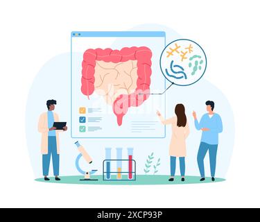 Gute Bakterien im Darm, gesunde Mikroflora des Gastrointestinaltraktes und Immunität. Winzige Menschen studieren lactobacillus im großen menschlichen Darm, Präbiotika und Probiotika Cartoon Vektor Illustration Stock Vektor