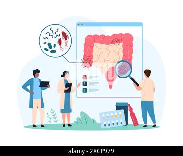 Uberwachung bösartiger Bakterien im Darm, Entzündung im Magen-Darm-Trakt. Winzige Menschen mit Vergrößerungsglas erforschen kleine Mikroben und Bazillus in der menschlichen Darmcartoonvektorillustration Stock Vektor