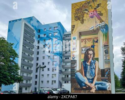 Street Art in Chemnitz Street Art in Chemnitz: Studentin / Student, 8.6.2024 *** Street Art in Chemnitz Street Art in Chemnitz Student, 8 6 2024 Stockfoto